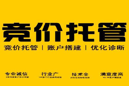 某某SEM服务公司如何帮助企业实现ROI最大化